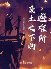 废土之下的避难所 废土之下的避难所