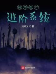 我的国产进阶系统 我的国产进阶系统
